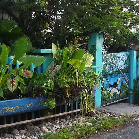 Cocomo On The Sea Bocas del Toro Exterior foto