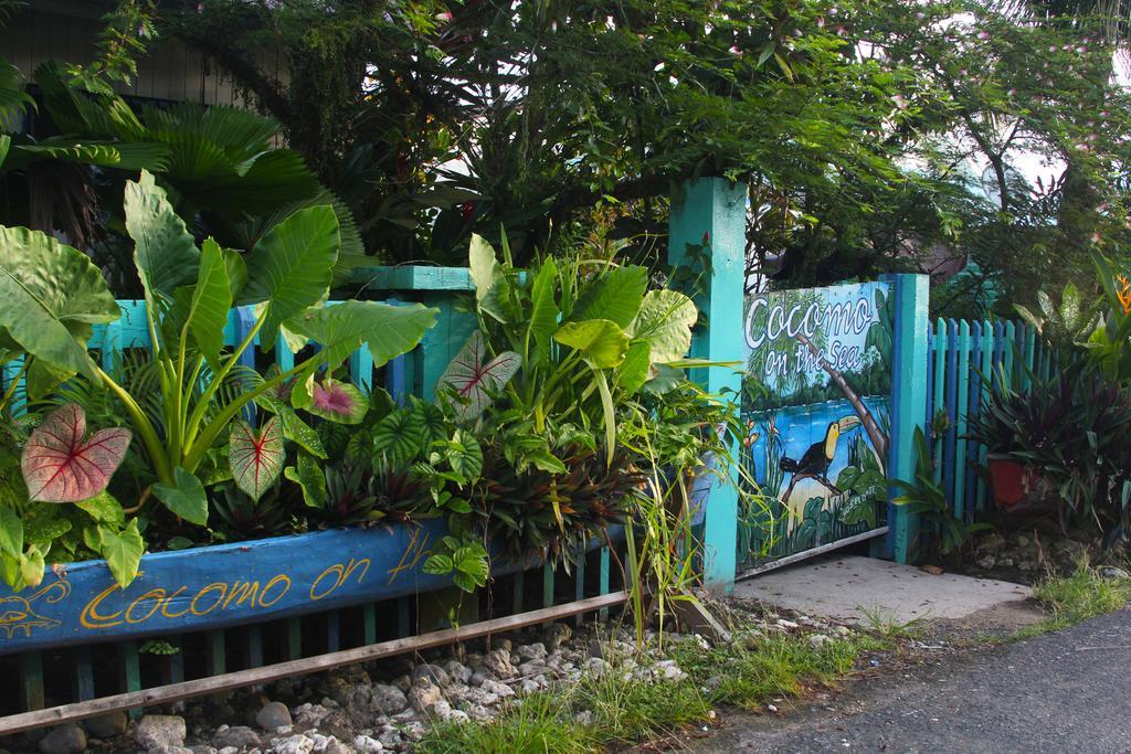 Cocomo On The Sea Bocas del Toro Exterior foto